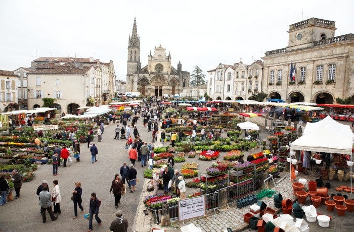 immobilier et patrimoine a bazas 33430